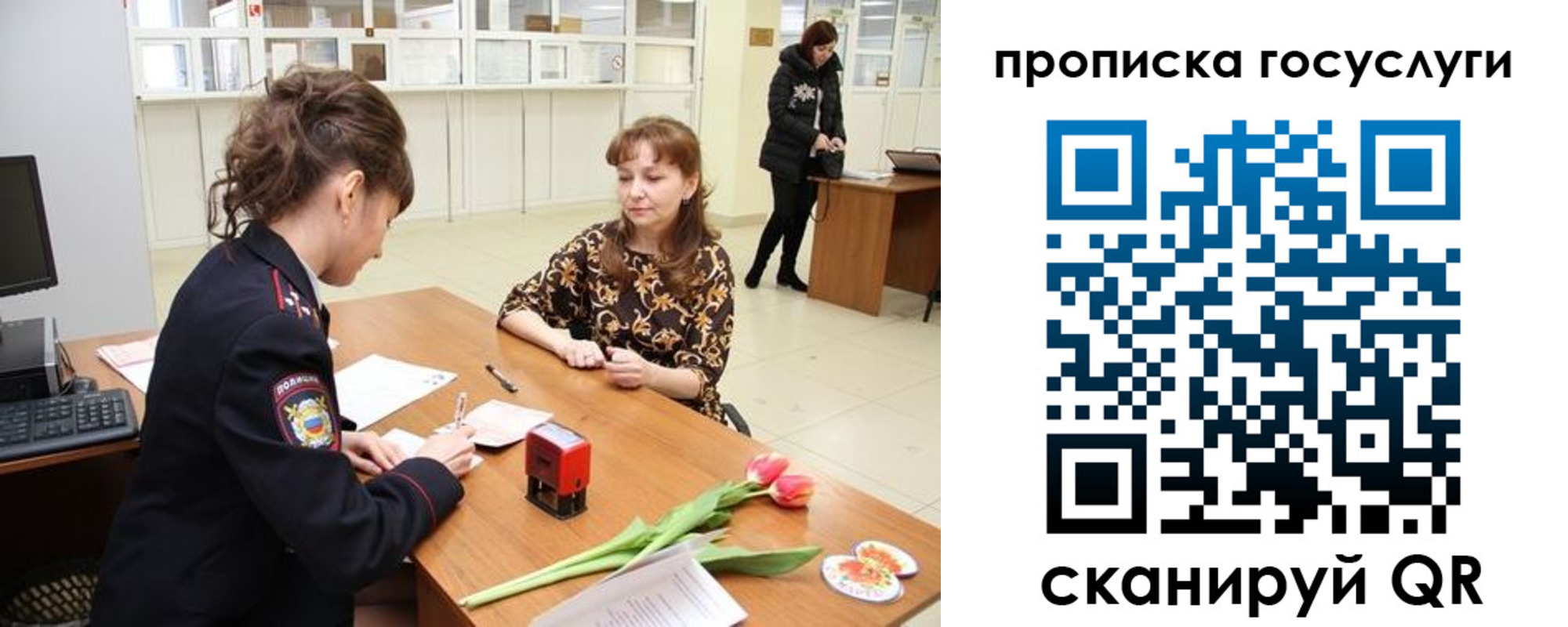 прописка штамп в Михайловке